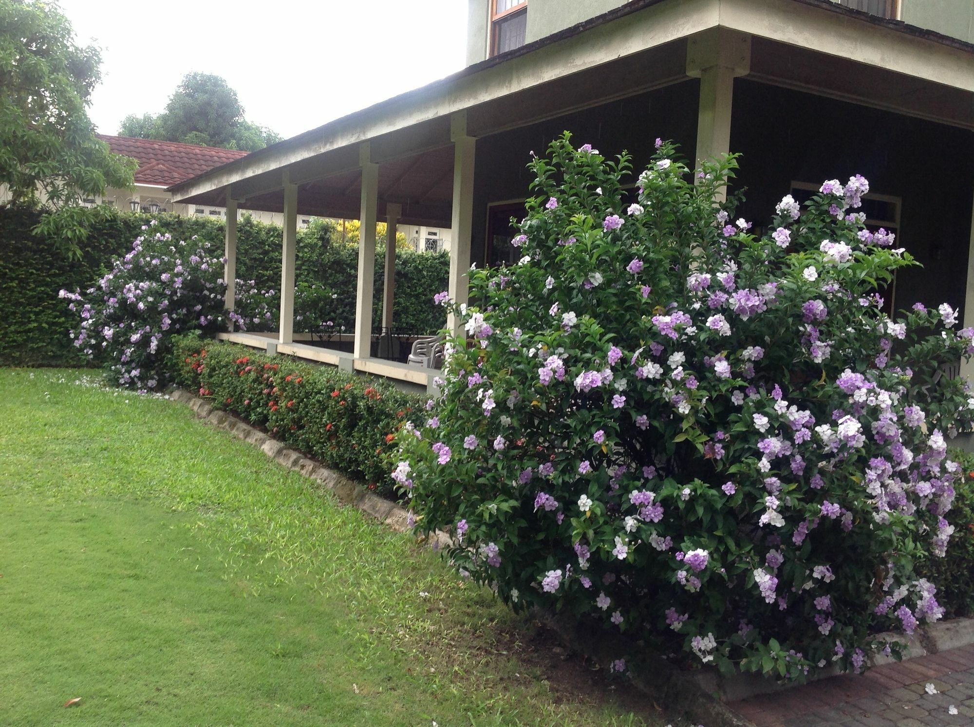 The Inn At 6 Kingston Esterno foto